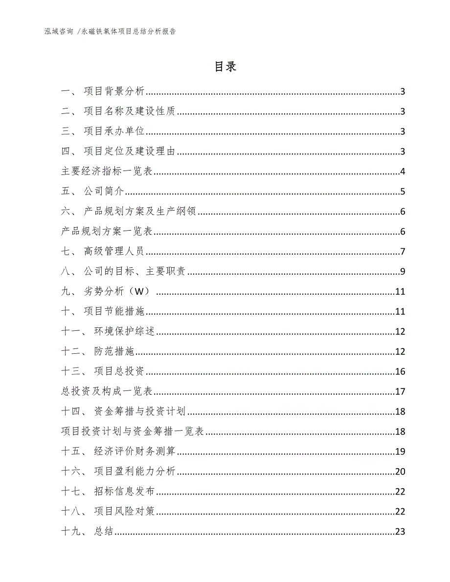 永磁铁氧体项目总结分析报告（模板）_第1页