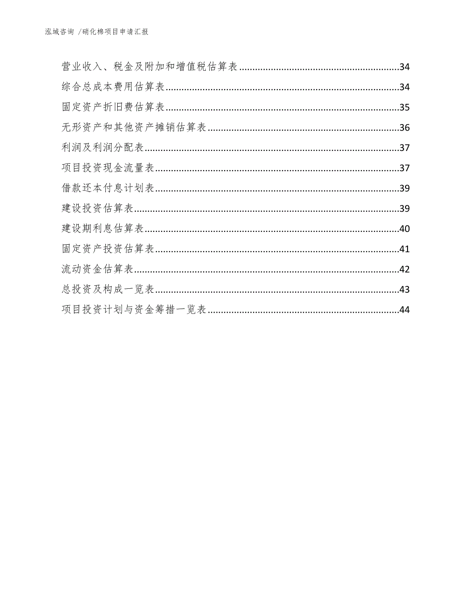 硝化棉项目申请汇报（模板）_第3页