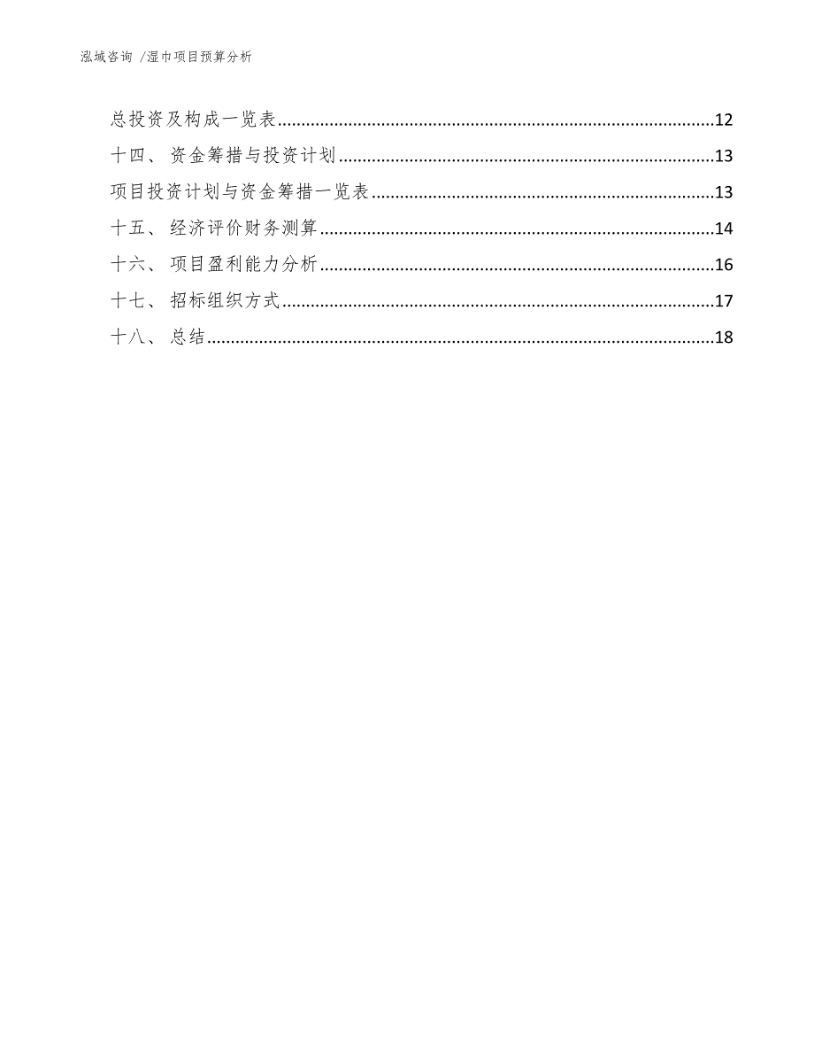 湿巾项目预算分析（模板）_第3页