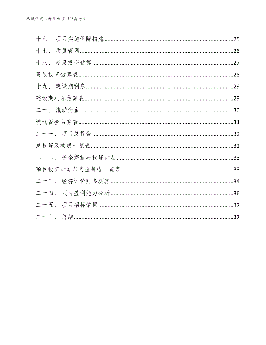 养生壶项目预算分析（模板参考）_第3页