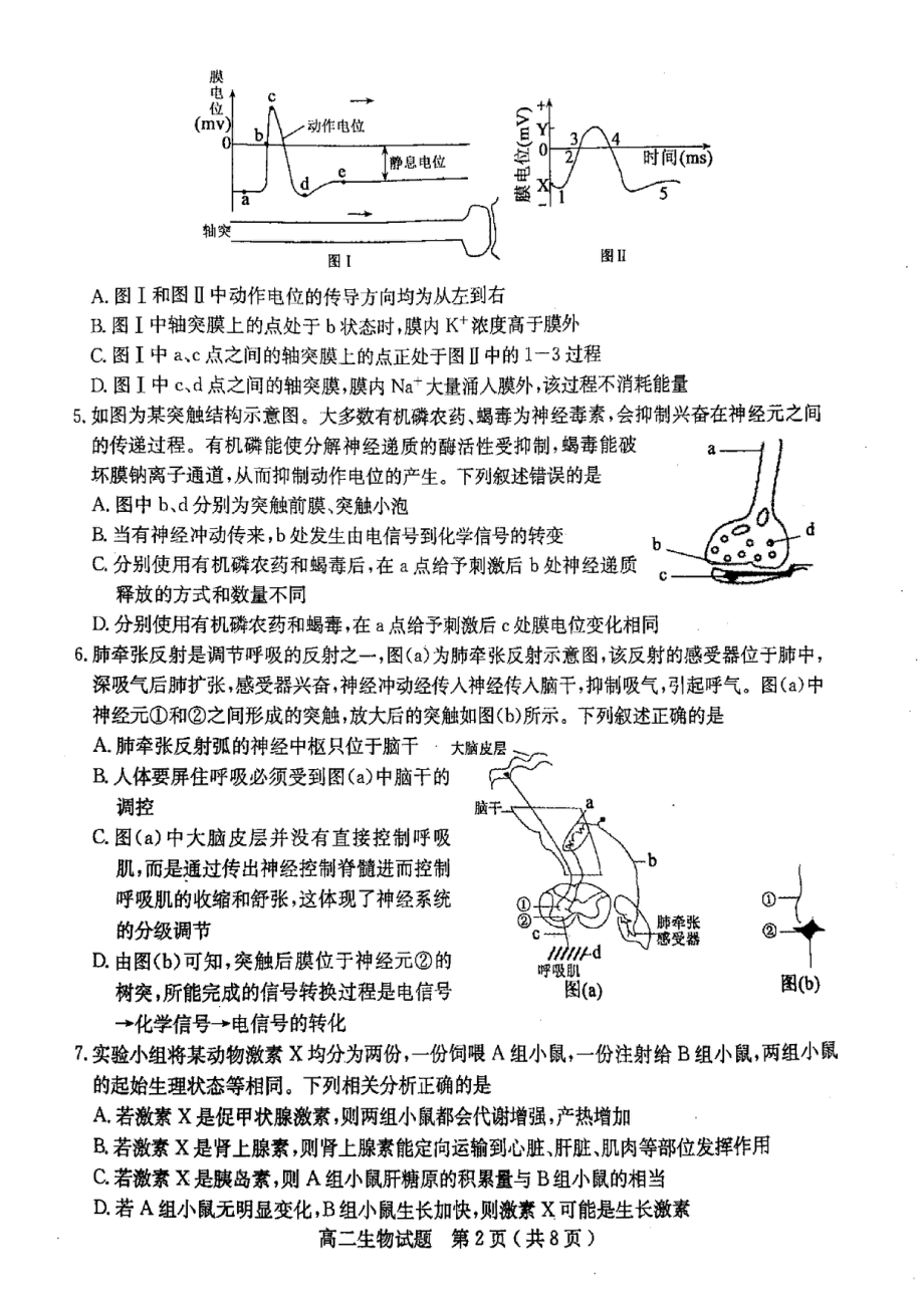 山东省聊城市2021-2022学年高二上学期期中考试生物试卷_第2页