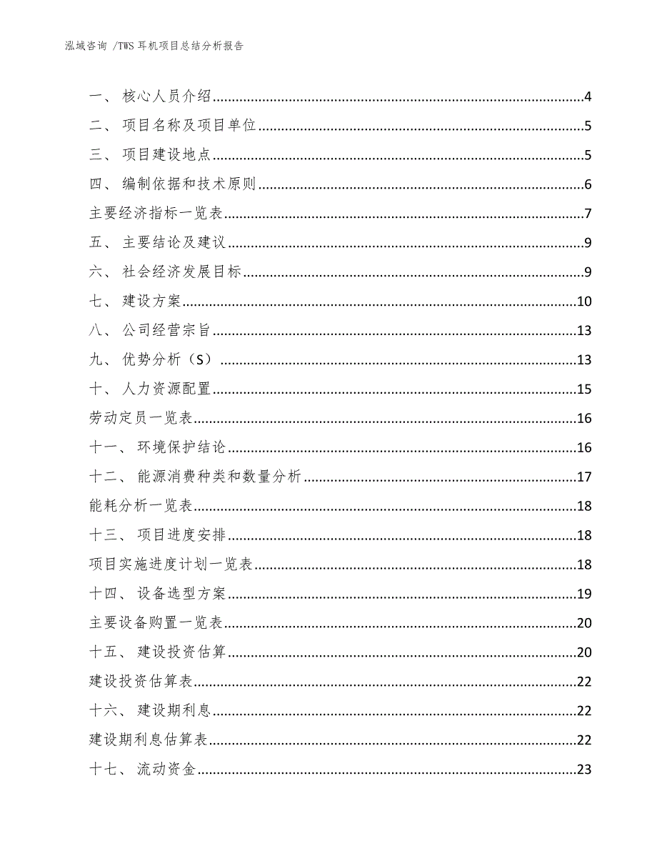 TWS耳机项目总结分析报告（模板参考）_第2页