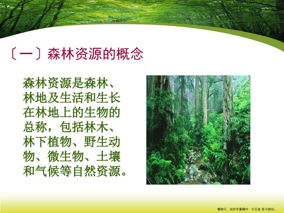 环境管理之森林资源的保护与管理培训教材( PowerPoint 60页)_第4页