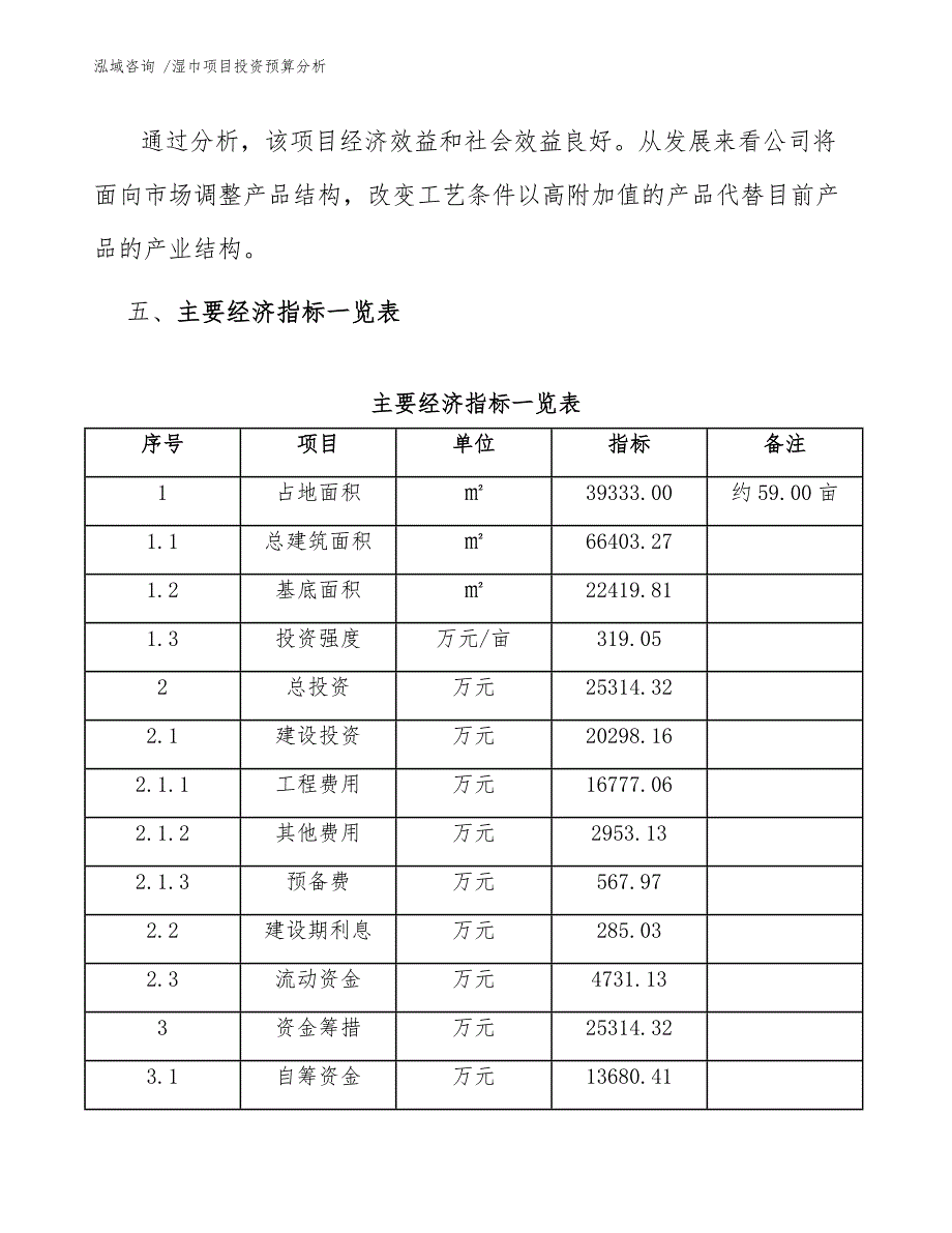 湿巾项目投资预算分析（模板）_第4页