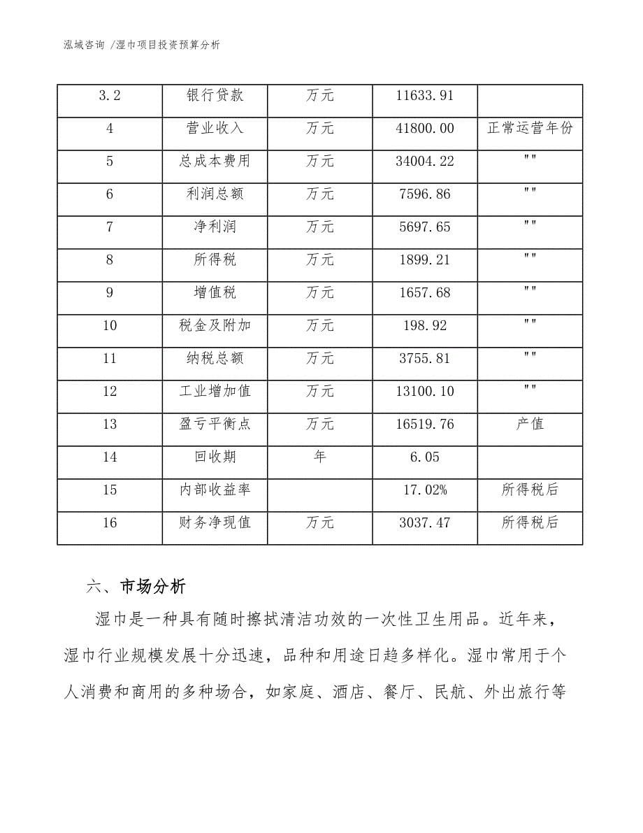 湿巾项目投资预算分析（模板）_第5页