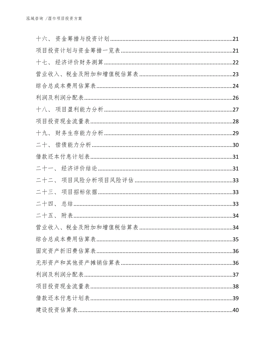 湿巾项目投资方案（模板范文）_第2页