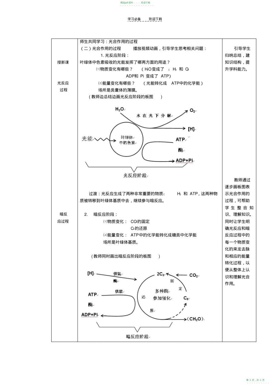 2022年高一生物公开课教学简案_第5页