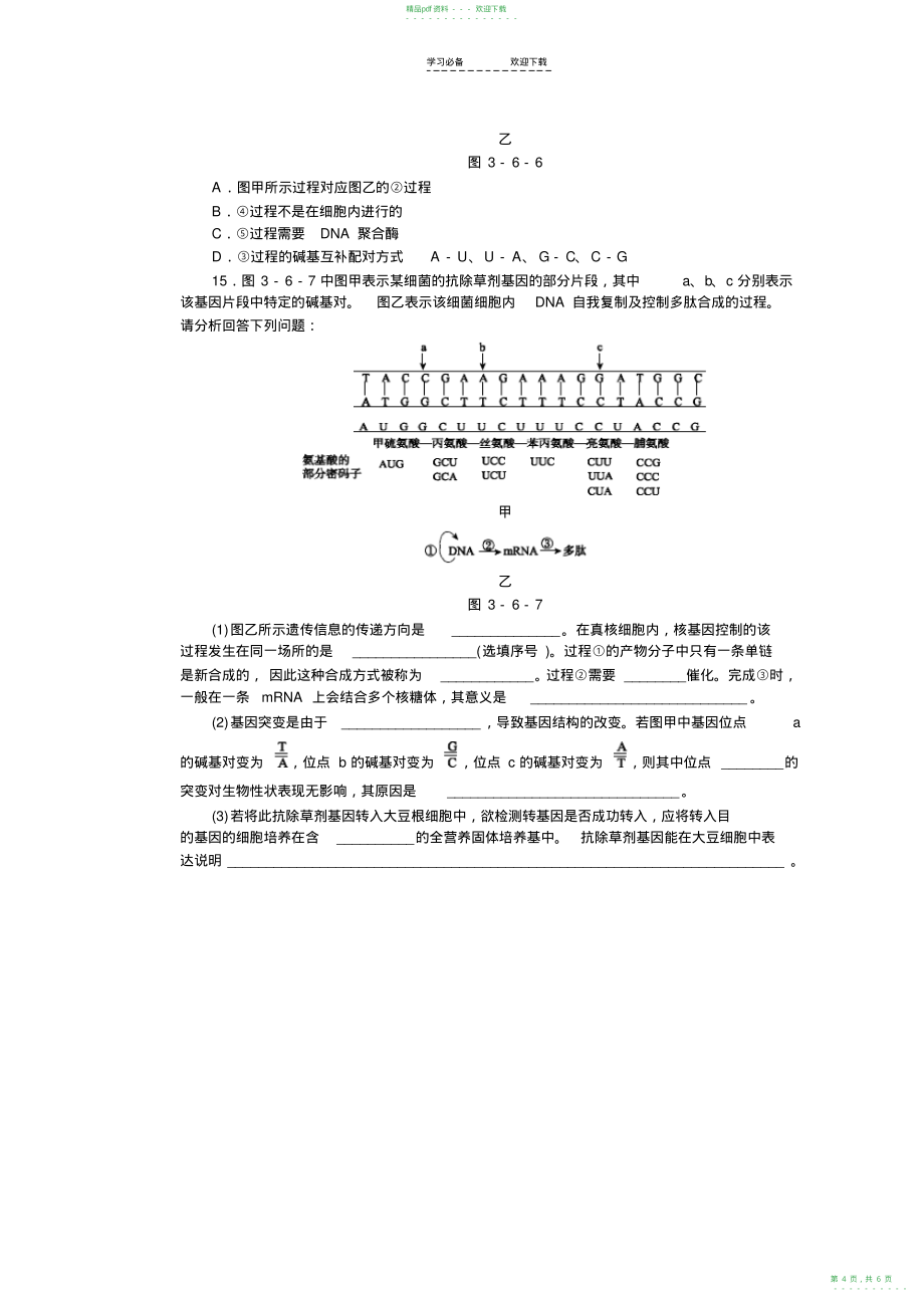 2022年高考生物二轮复习方案专题限时集训专题六遗传的分子基础含解析_第4页