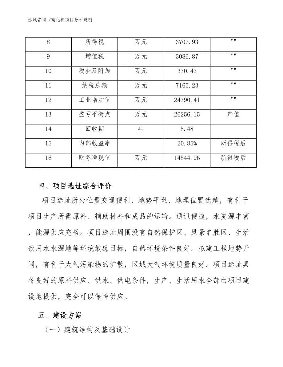 硝化棉项目分析说明（范文参考）_第5页