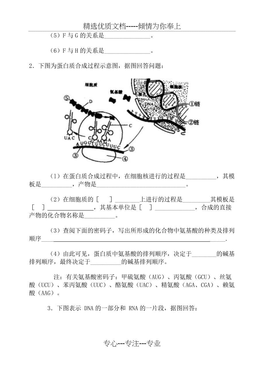 基因的表达练习题(共7页)_第5页