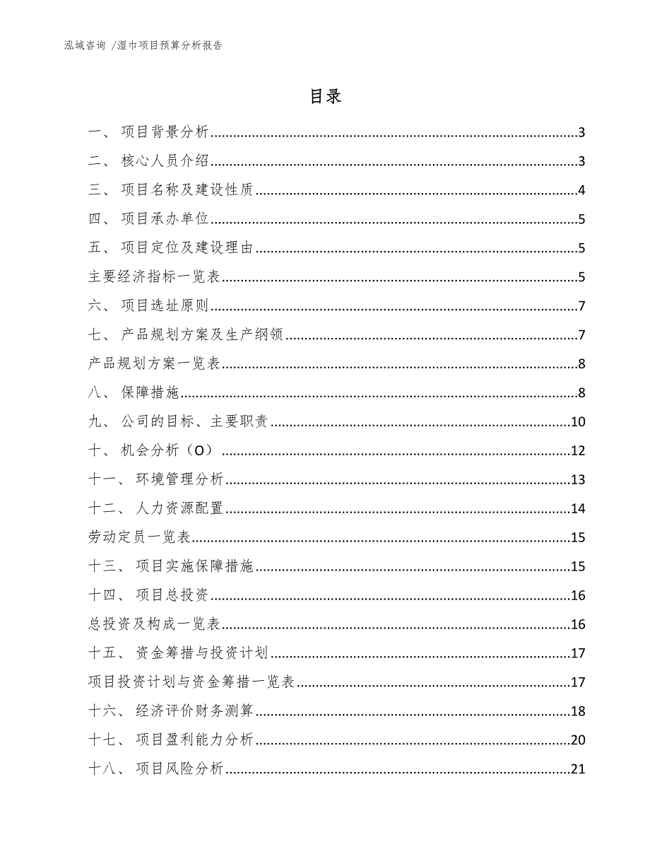 湿巾项目预算分析报告（参考模板）_第1页