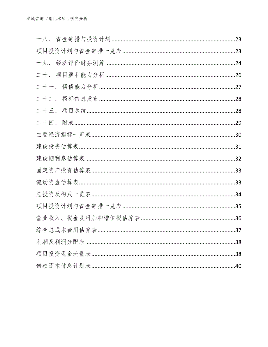 硝化棉项目研究分析（范文模板）_第2页