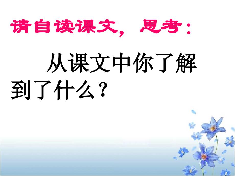 部编版语文三年级 上册课件-22 父亲树林和鸟4_第2页