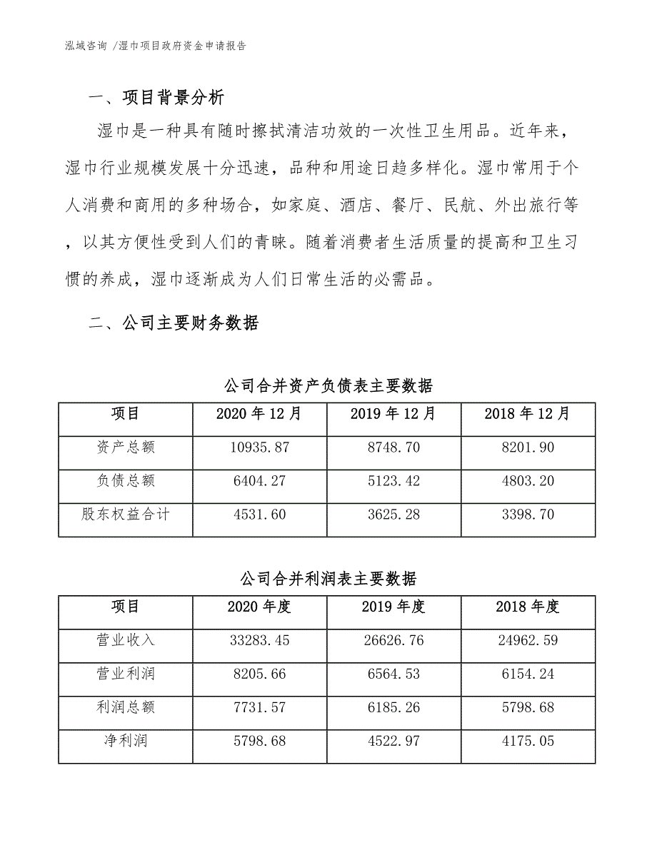 湿巾项目政府资金申请报告（参考范文）_第4页