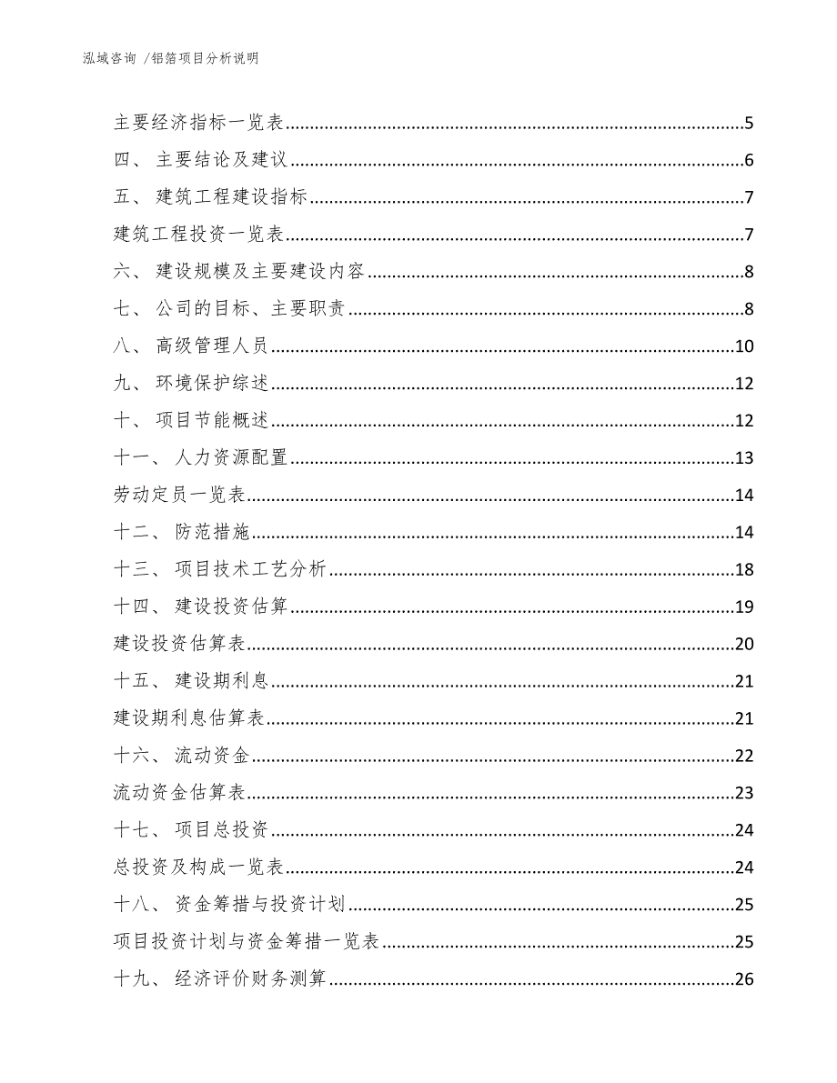 铝箔项目分析说明（范文参考）_第2页