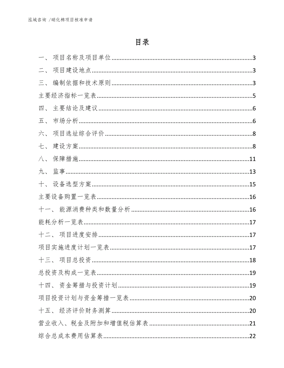 硝化棉项目核准申请（模板范本）_第1页