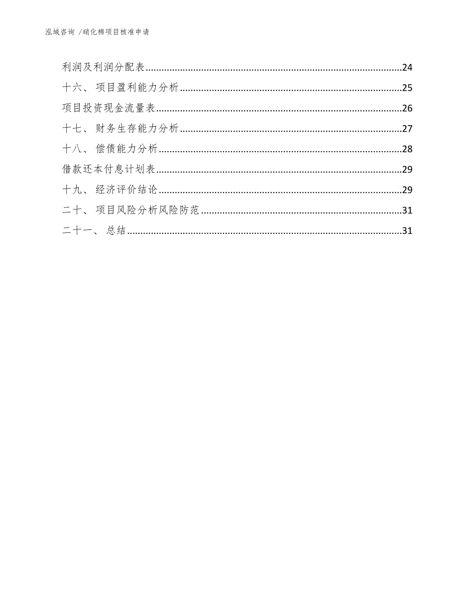 硝化棉项目核准申请（模板范本）_第2页