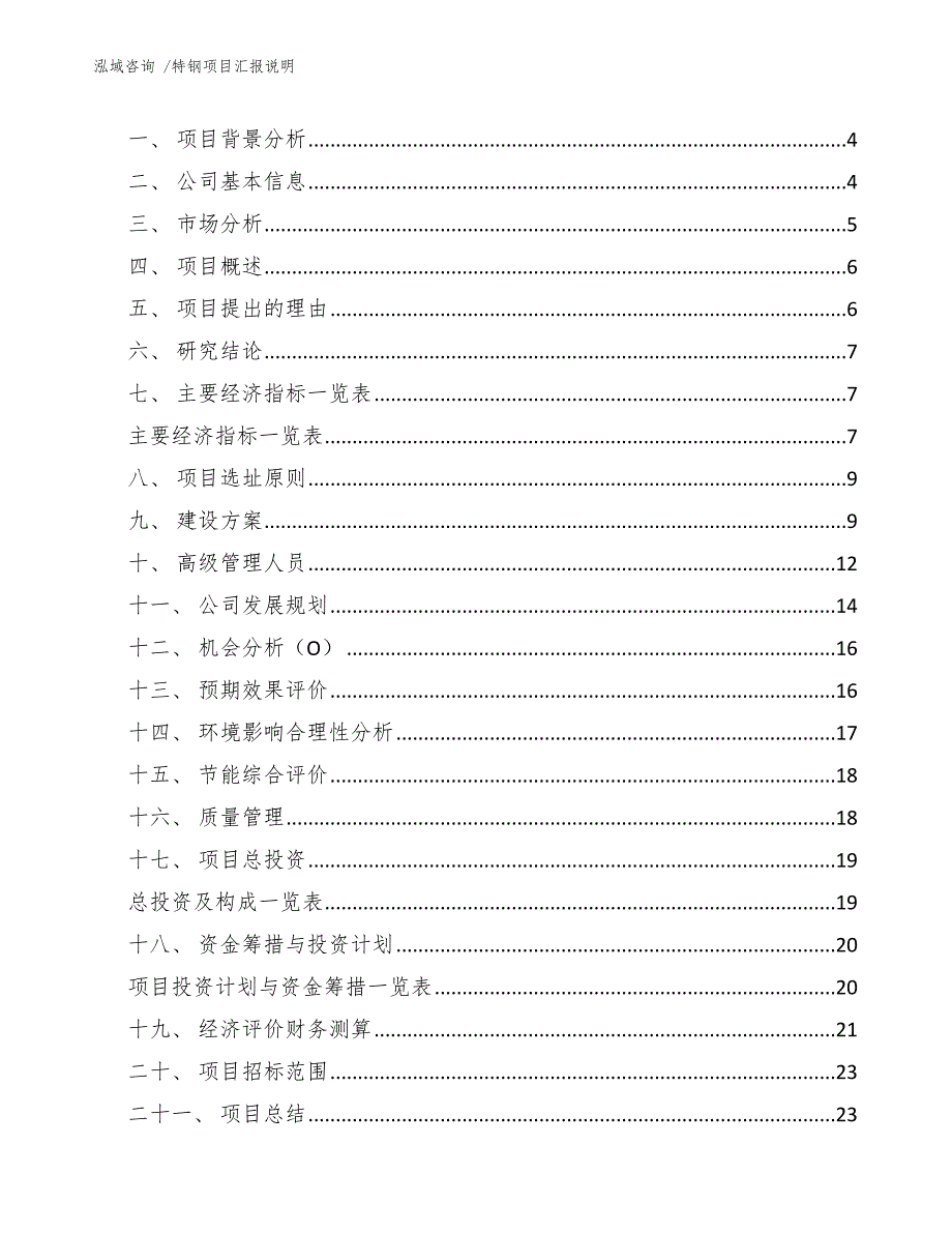 特钢项目汇报说明（范文）_第2页