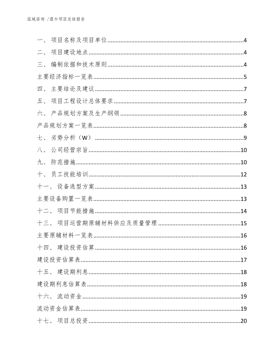 湿巾项目总结报告（模板范文）_第2页