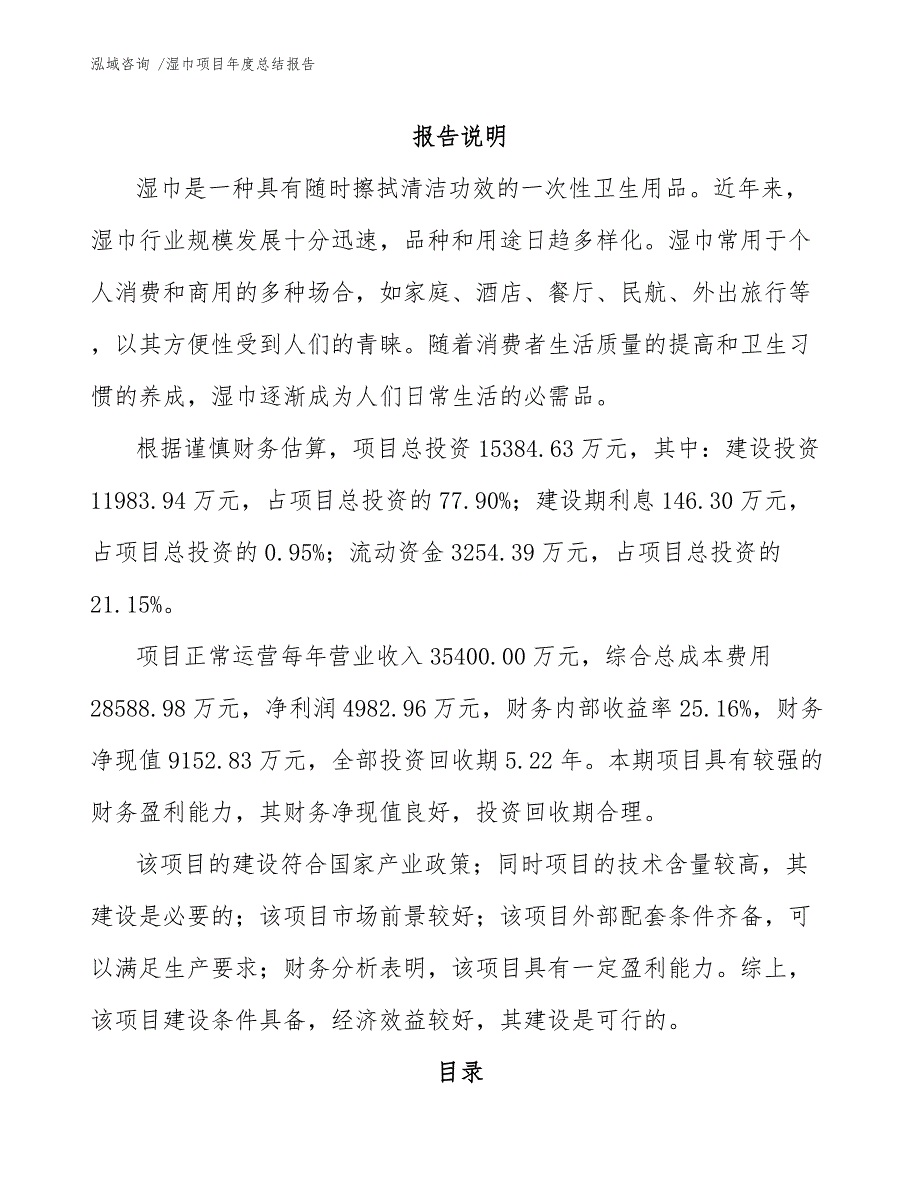 湿巾项目年度总结报告（范文模板）_第1页