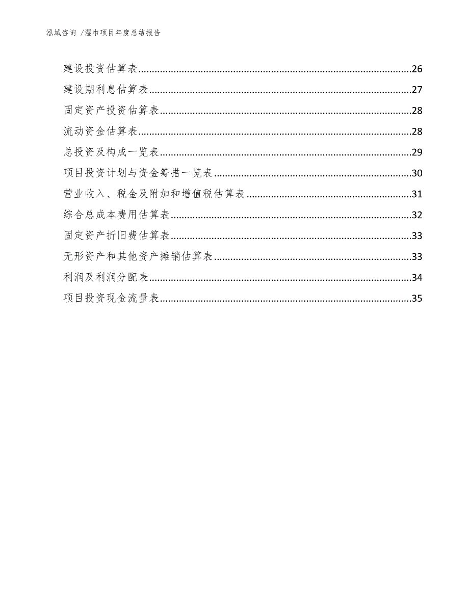 湿巾项目年度总结报告（范文模板）_第3页