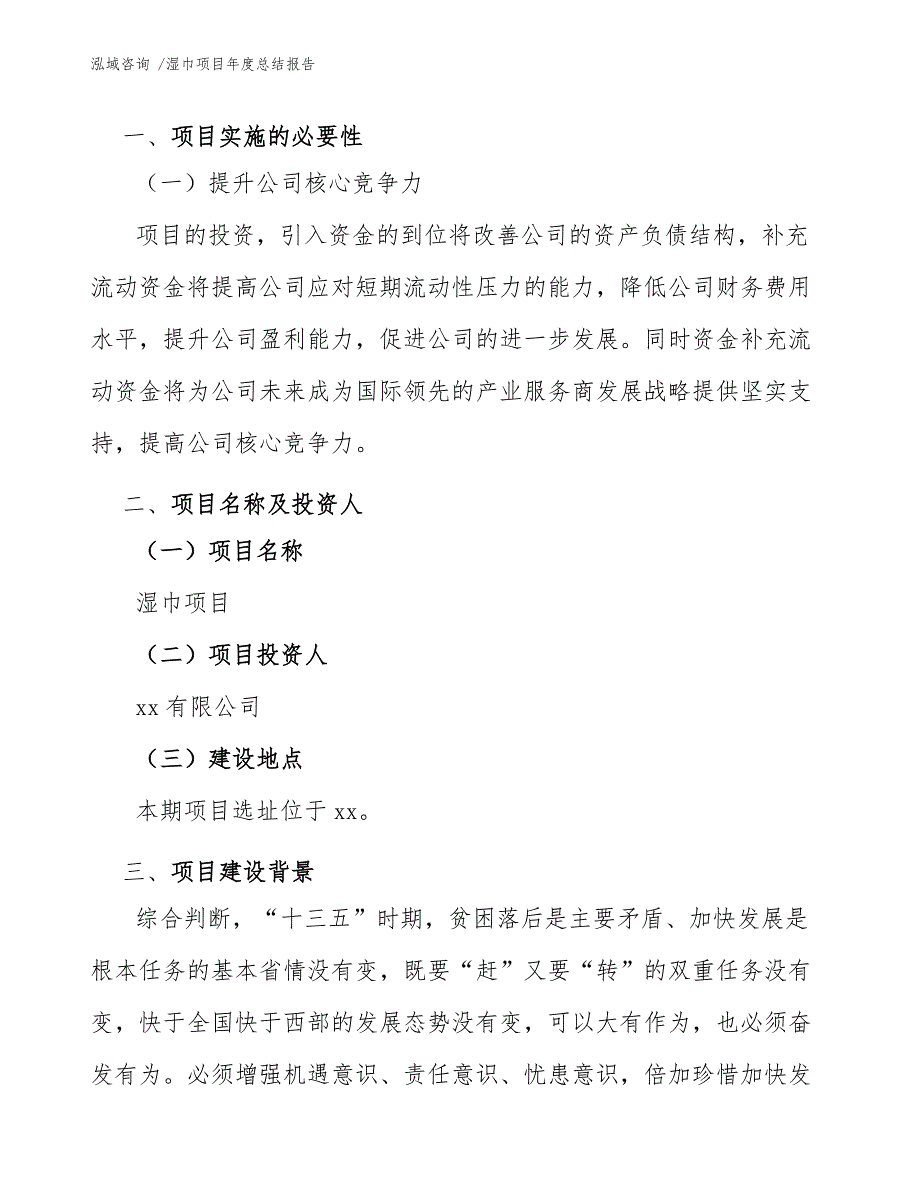 湿巾项目年度总结报告（范文模板）_第4页