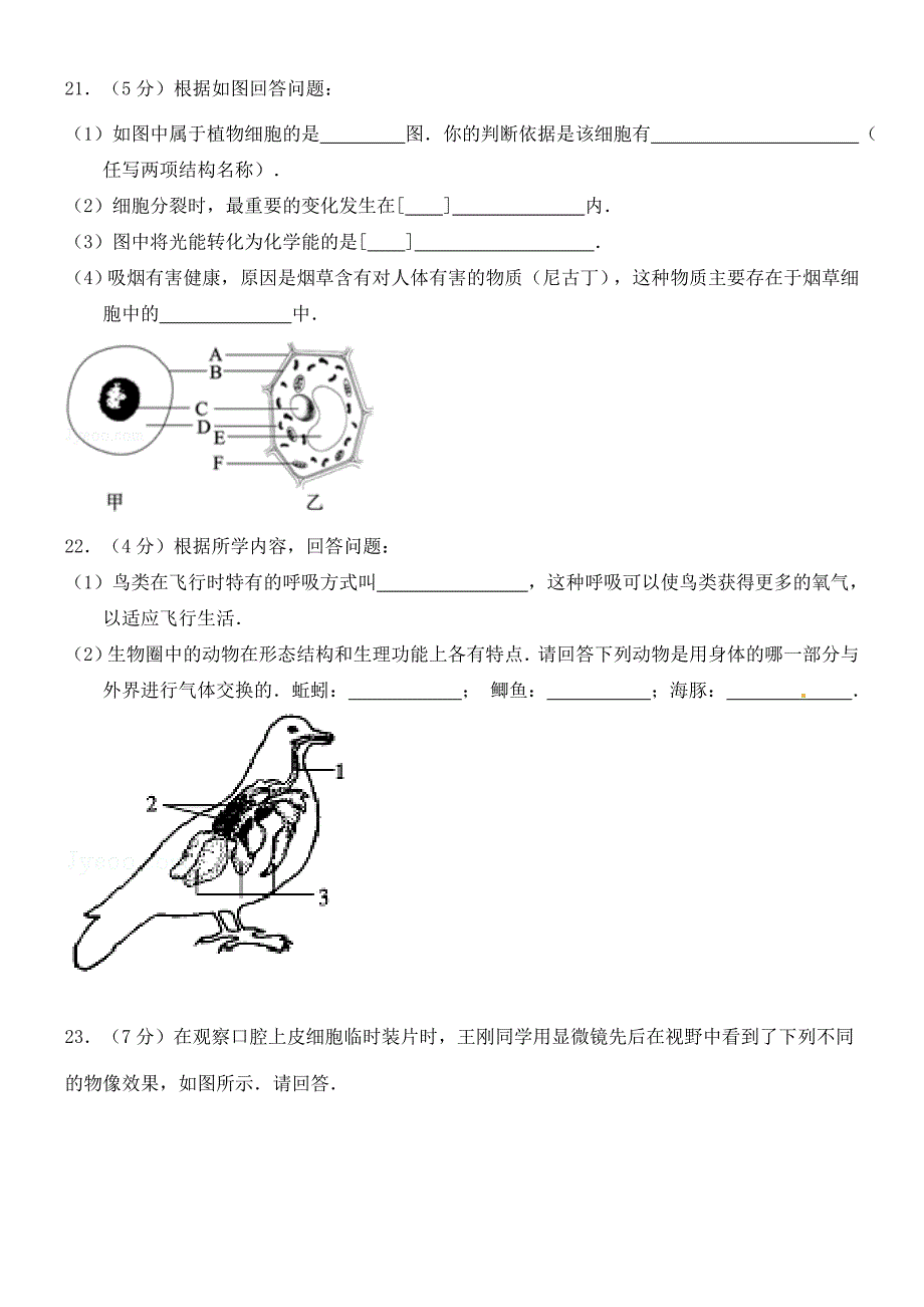 山东省曹县七年级生物上学期(1月)期末模拟考试试题(无答案) 新人教版 试题_第3页