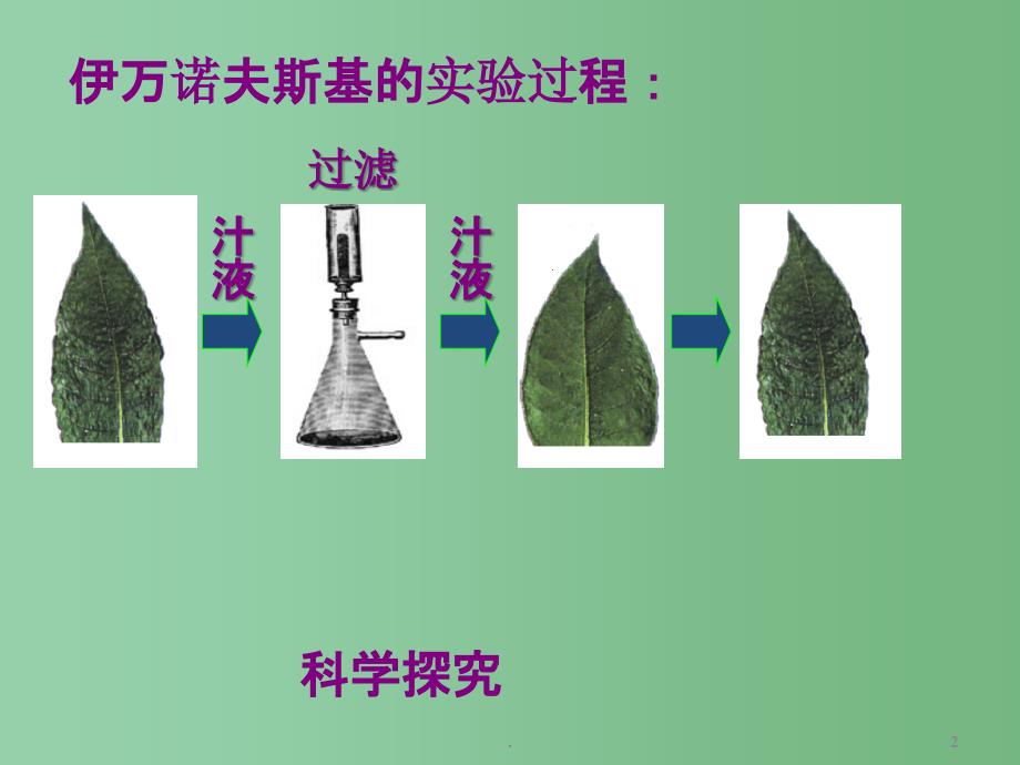 七年级生物下册《没有细胞结构的微小生物》课件 新人教版_第2页