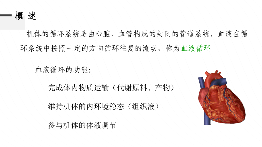 高中生物竞赛动物生理第三章血液循环课件_第2页