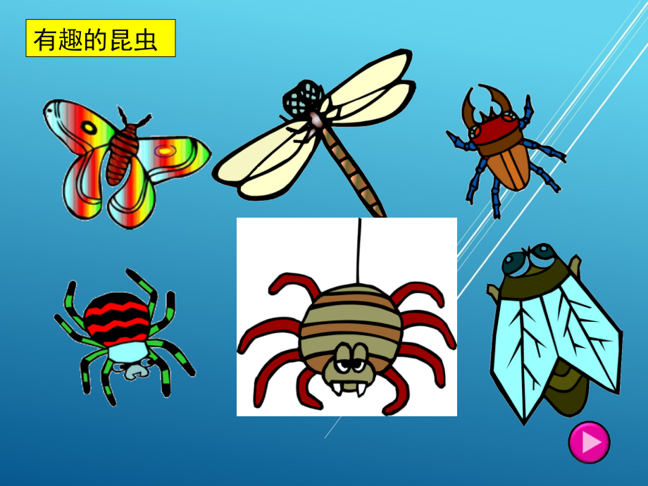 青岛版小学数学：同步导学：生活中的对称_第1页