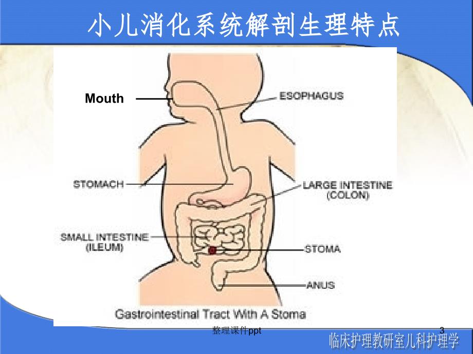 《小儿腹泻的护理》PPT课件_第3页