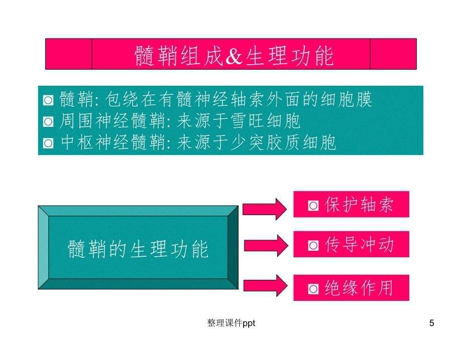 《脱髓鞘疾病》PPT课件_第5页