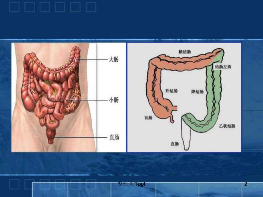 《结直肠癌的免疫治》PPT课件_第2页