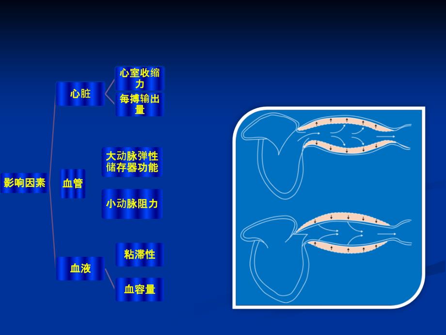 内科学PPT课件 高血压_第4页