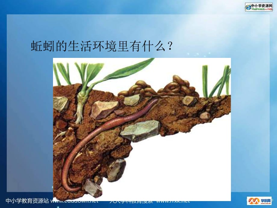 教科版科学五上《动物的栖息地》ppt课件1_第4页