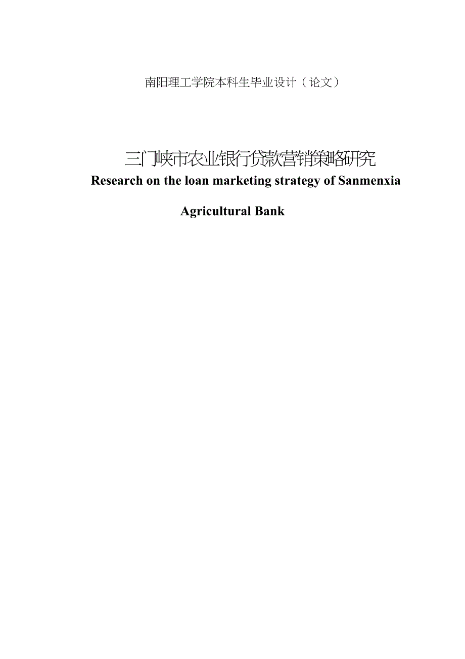 第一部分4700三门峡市农业银行贷款营销策略研究_第3页