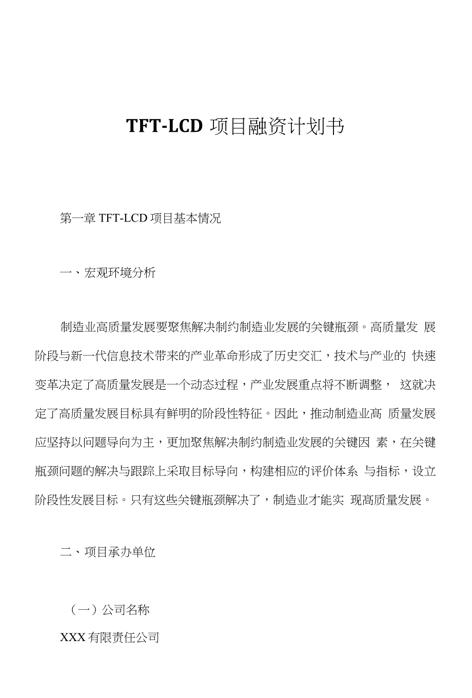 TFT-LCD项目融资计划书_第1页