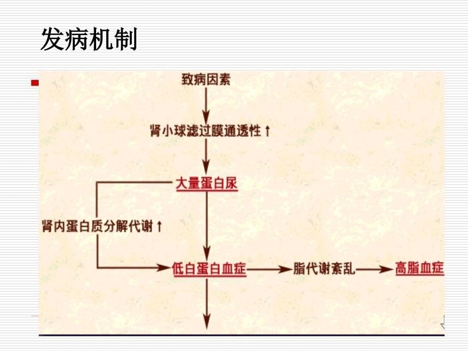 小儿内科资料课件 肾病_第5页