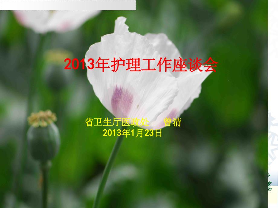 《护理工作座谈会》_第1页