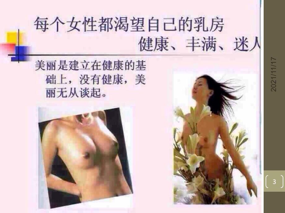 乳腺健康培训课件(共70页)_第3页