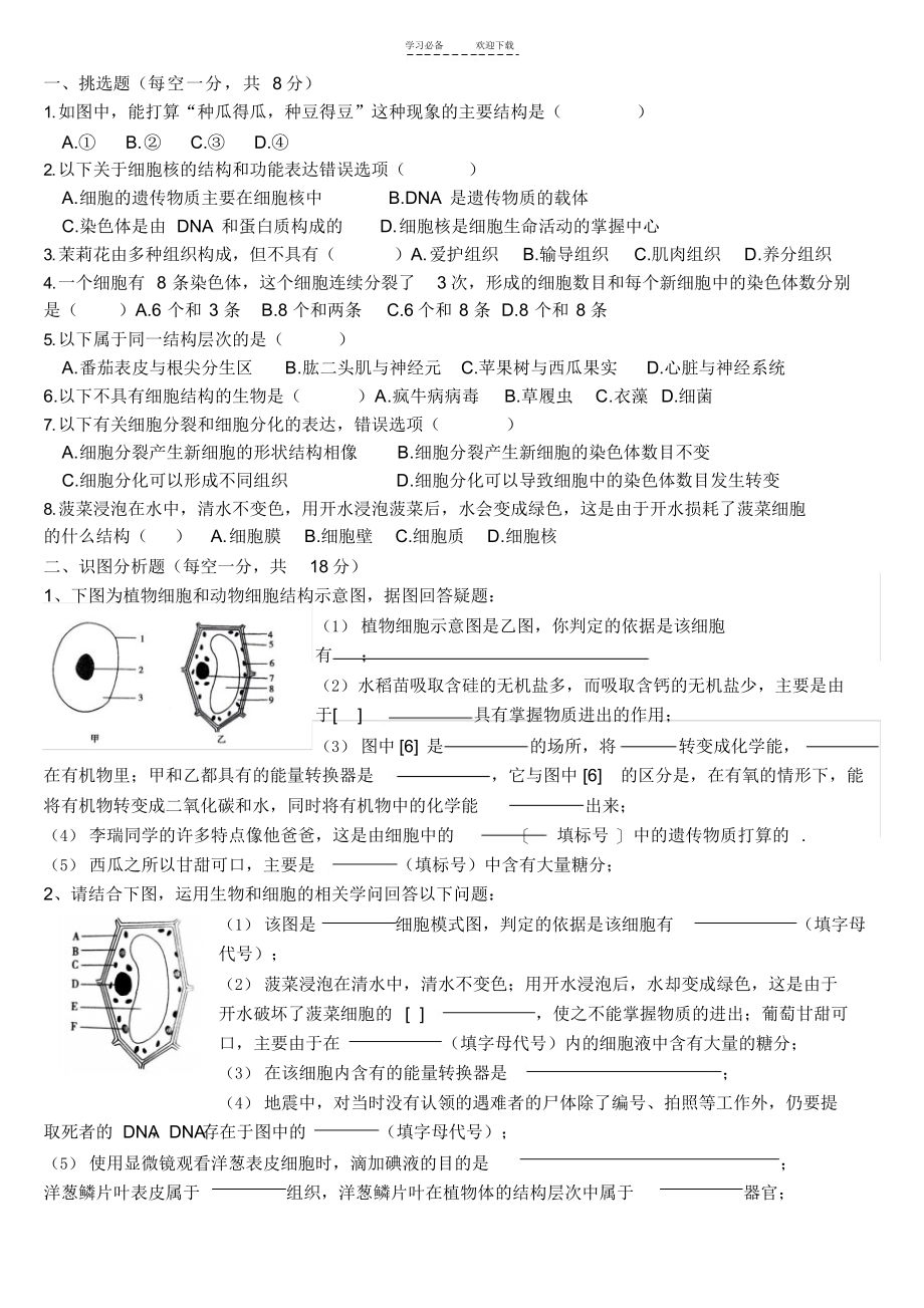 2022年第二单元生物体的结构层次复习专题_第4页