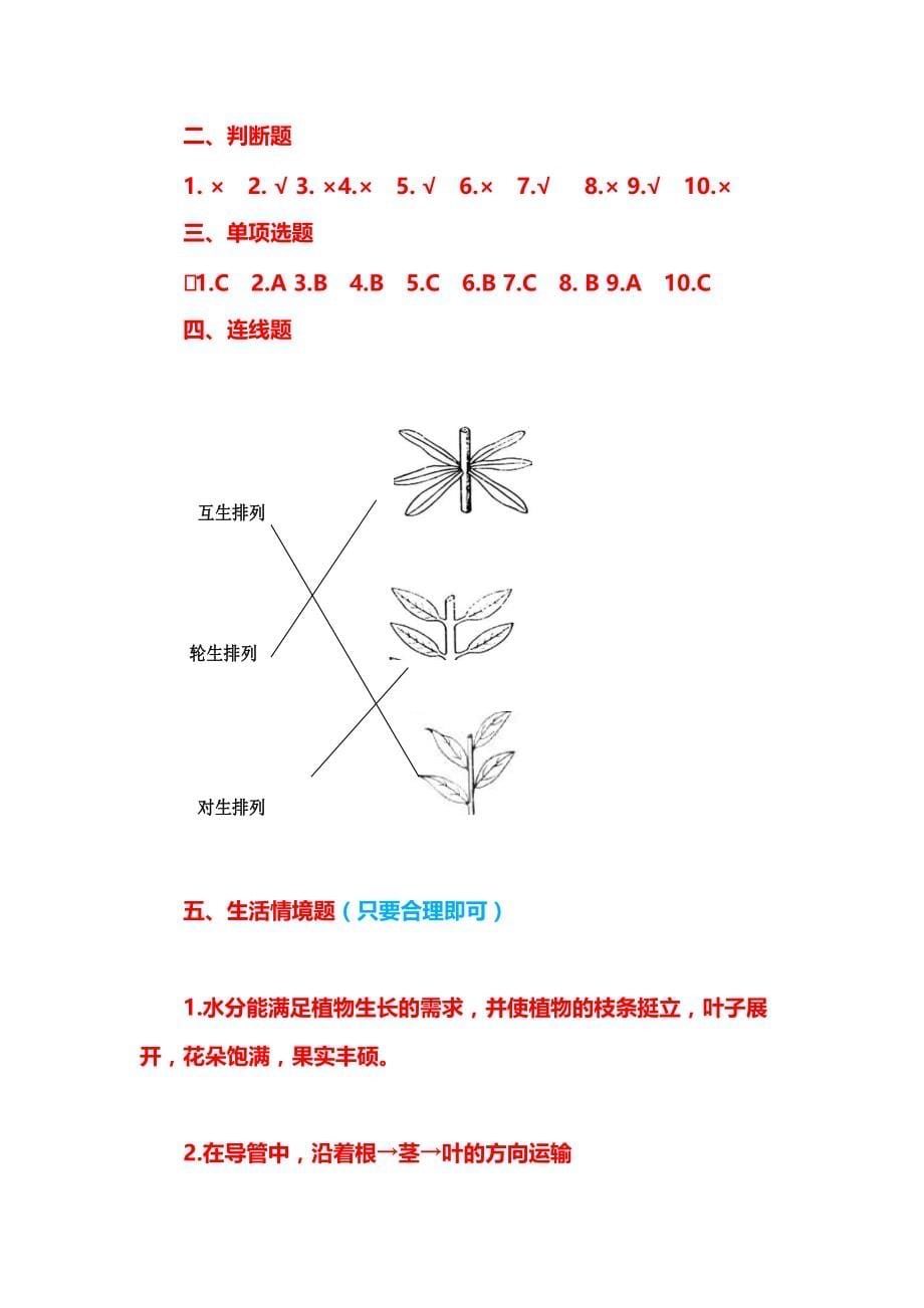 【最新版】新版粤教粤科版科学五年级上册期中测试卷及答案1_第5页