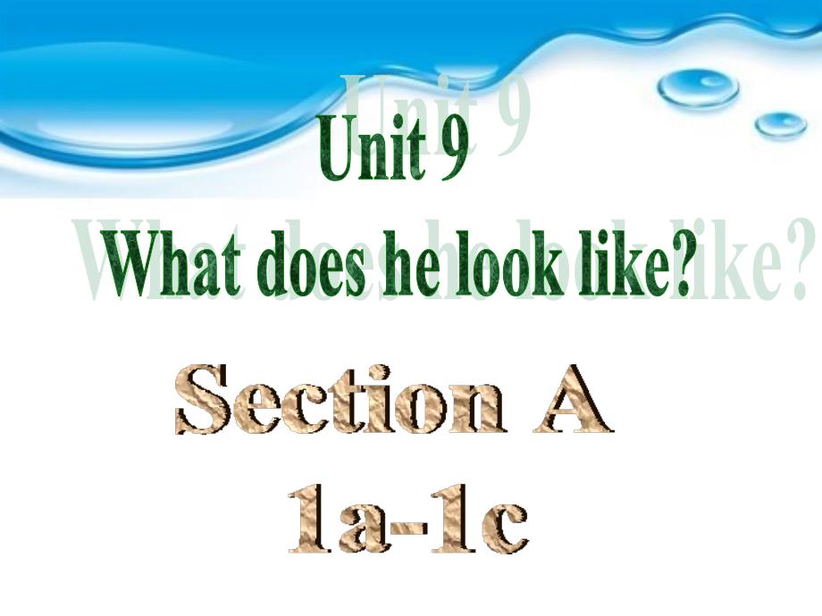 Unit 9 What does he look like [Section A 1a-1c]课件_第1页