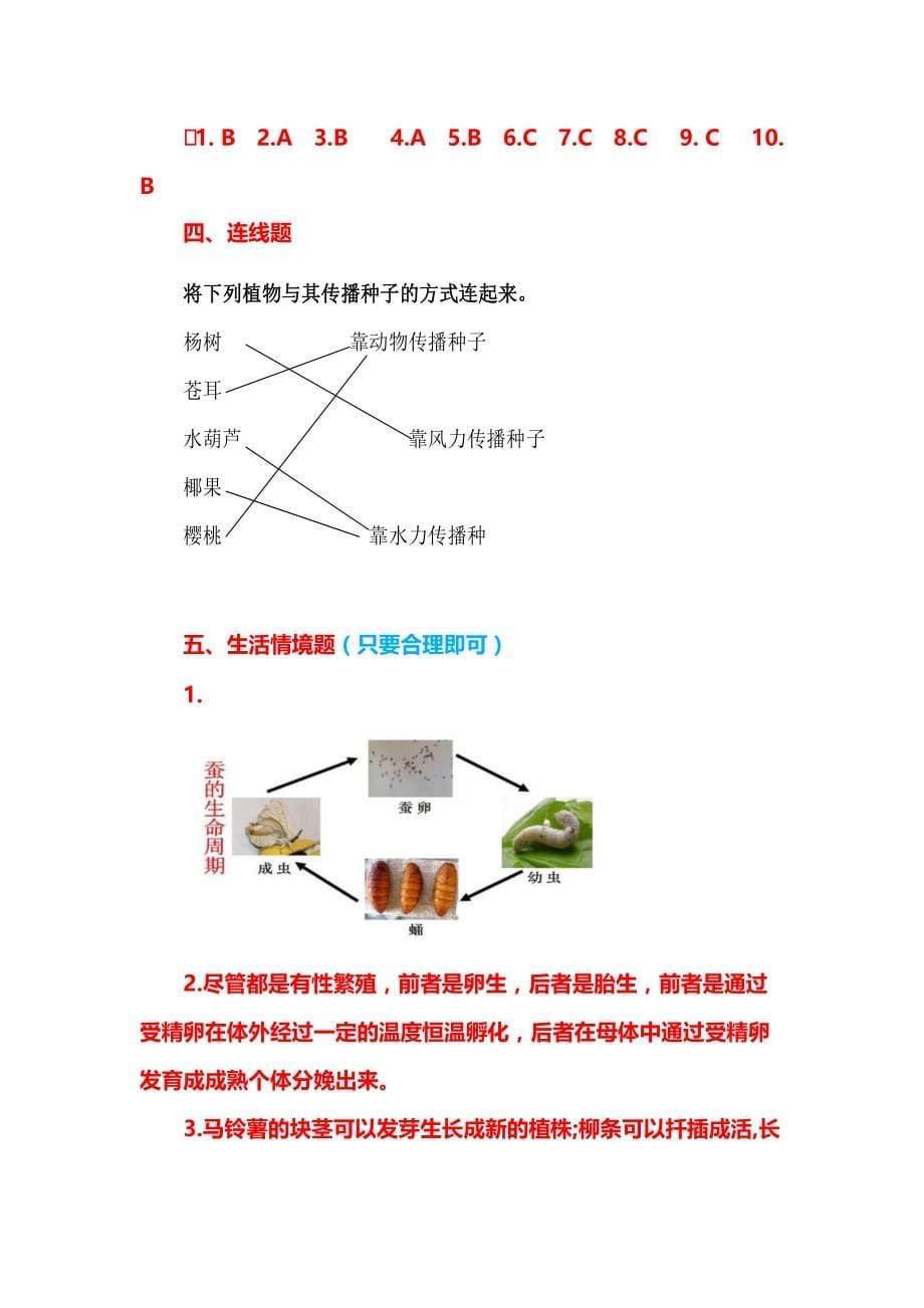 【最新版】新粤教粤科版科学四年级上册期中测试卷及答案2_第5页