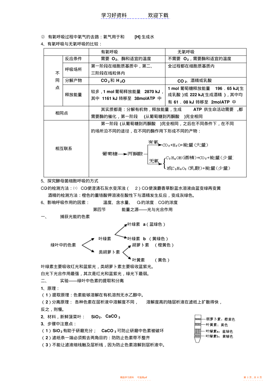 2022年高一生物必修一第五六章知识点总结_第3页