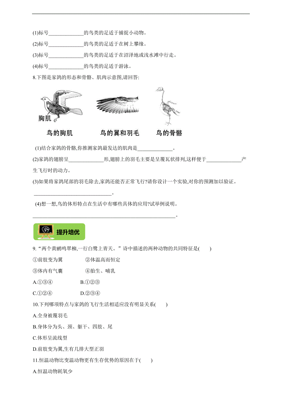 鸟 人教版物理八上双减分层作业设计含解析_第2页