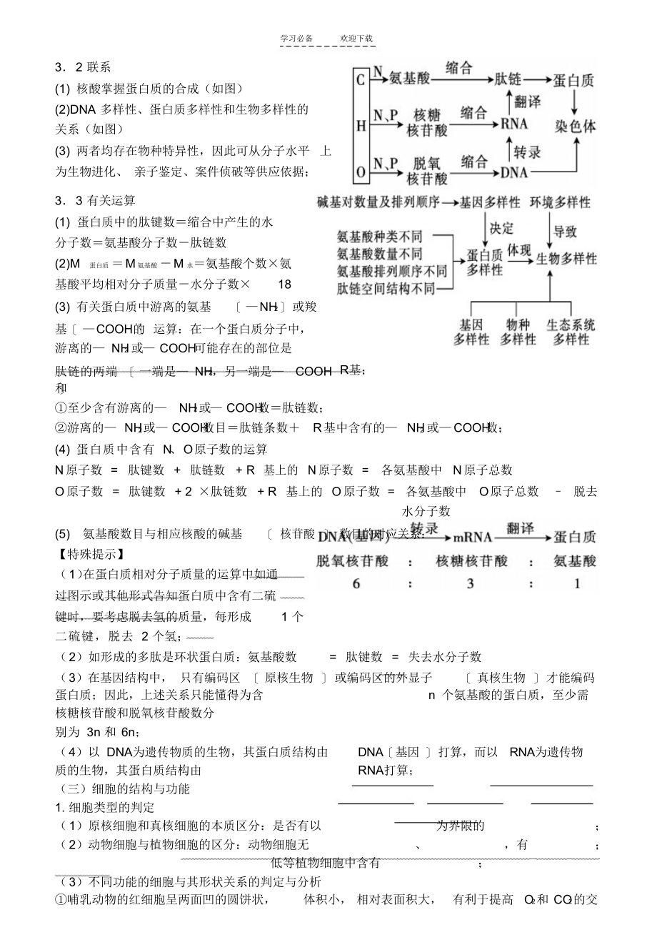 2022年高三生物二轮专题复习一生命的物质基础_第4页