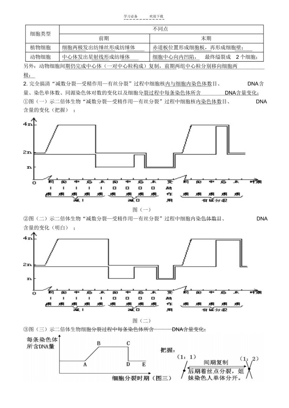 2022年高三生物二轮专题复习三细胞的生命历程_第3页