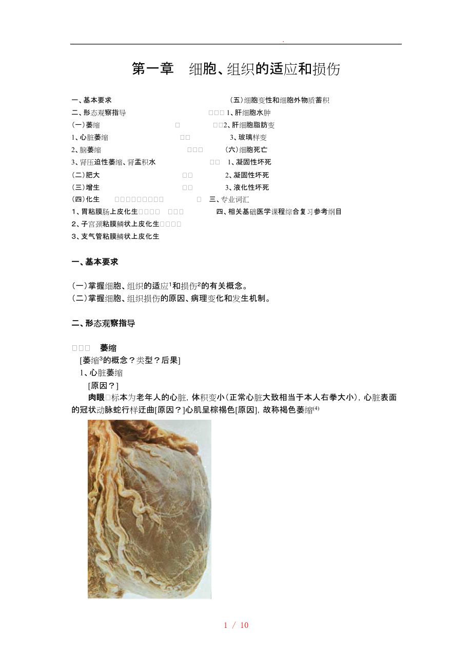 细胞、组织的适应和损伤讲义全_第1页