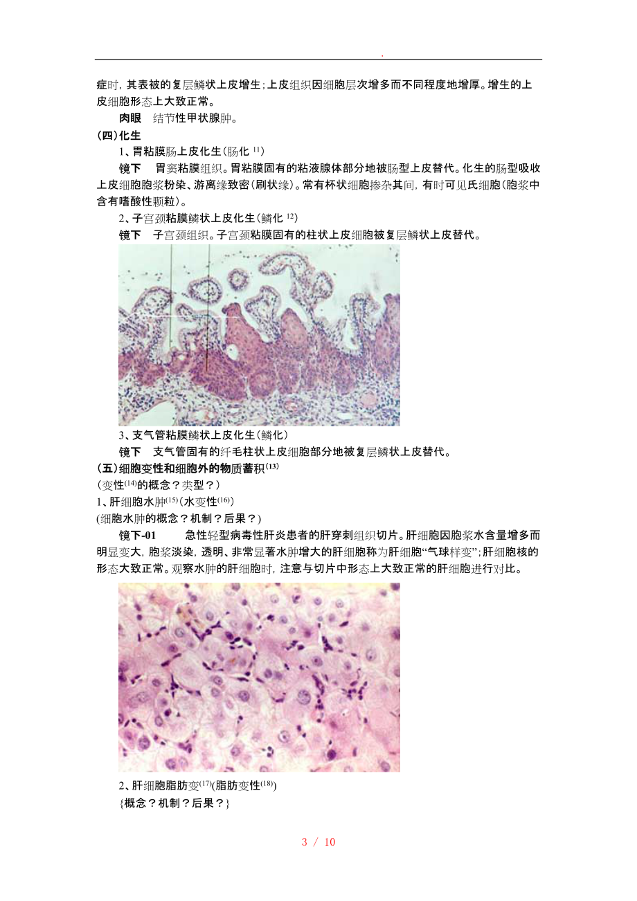 细胞、组织的适应和损伤讲义全_第3页